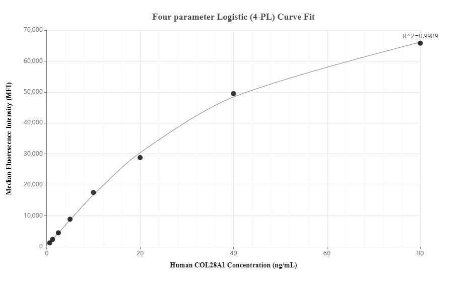 Cytometric bead array standard curve of MP00423-3, COL28A1 Recombinant Matched Antibody Pair, PBS Only. Capture antibody: 83408-4-PBS. Detection antibody: 83408-3-PBS. Standard: Ag21459. Range: 0.625-80 ng/mL.  